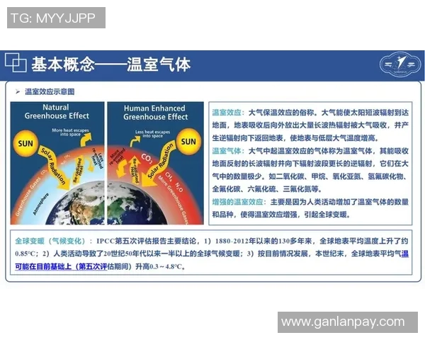 推动中国足球全面改革的创新方案与实施路径探讨